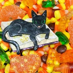 Faire Lipstick & Chrome Furmiliar Pyewacket Halloween Cat Brooch 6 Faire Lipstick & Chrome Furmiliar Pyewacket Halloween Cat Brooch