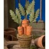 Bethany Lowe Collectibles Creepy Carrot